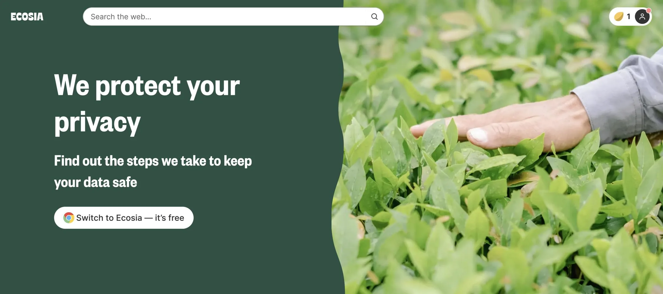 Is Ecosia Safe? Privacy, Data and What It Shares